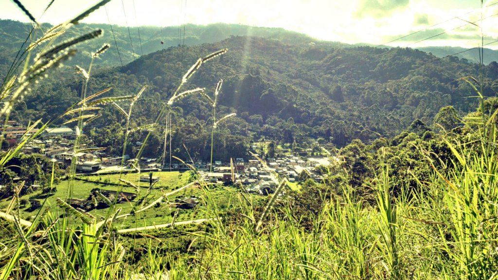 Villa Rica - Zona de producción de café peruano