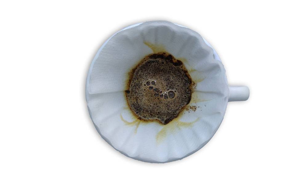 V60 - Blooming-2