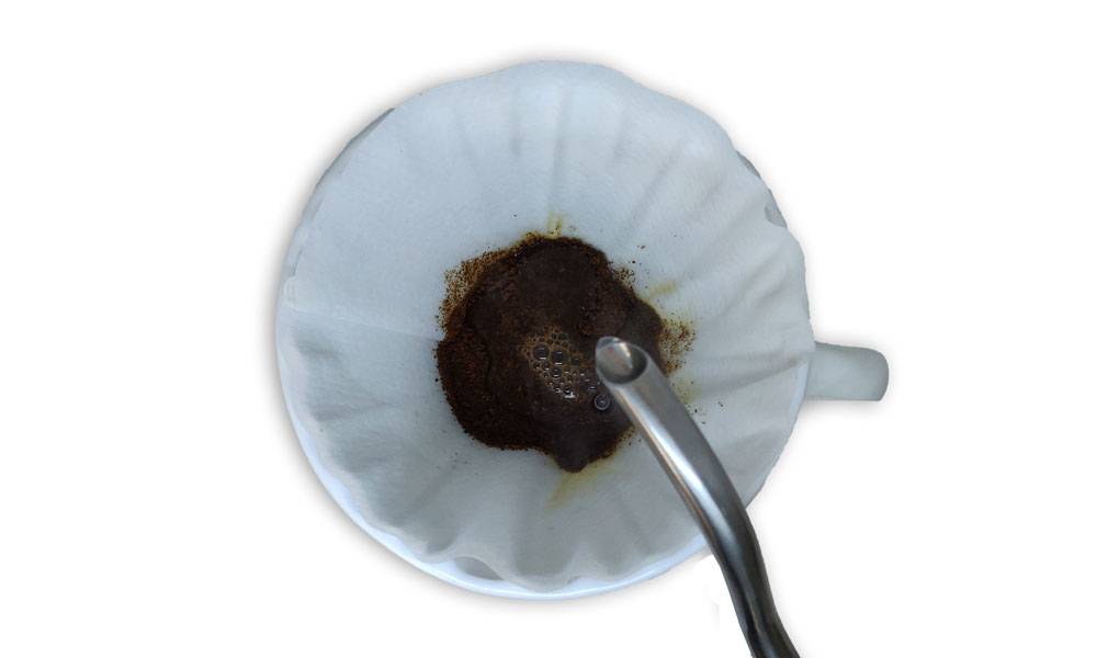V60 - Blooming